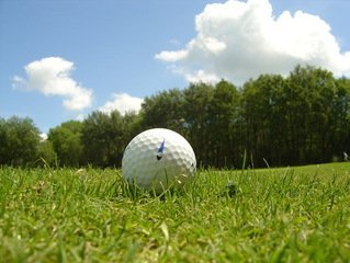 Golfin historia